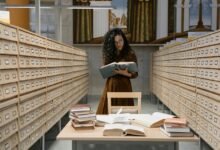 joi database essential information guide